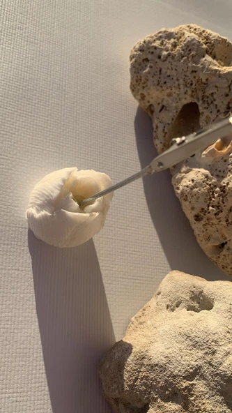 Parlak Beyaz Renk Büyük Lale Şekil Kağıt Tutacağı Notluk El Yapımı Epoksi Hediyelik - 7