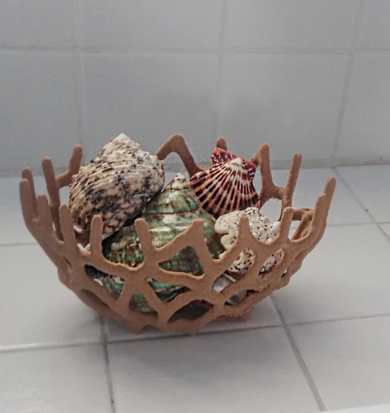 Byr Mercan tipi meyve kasesi (Voronoi malzemeleriyle oynuyor ...) (Sadece Plastik Aparattır!!!) 3D - 2