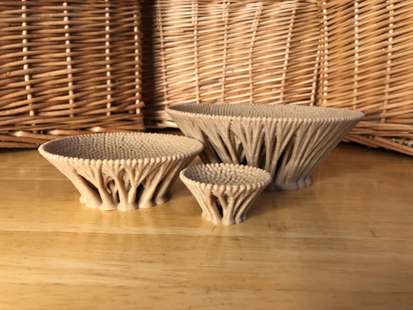 Byr Çalılık kaseleri (Sadece Plastik Aparattır!!!) 3D - 3