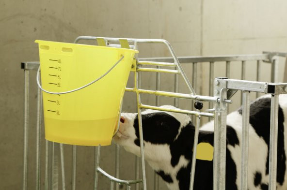 Şeffaf Sarı Tekli Buzağı Emzirme Kovası - 4