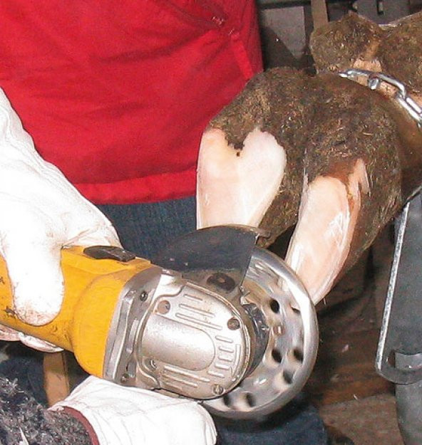 6 Bıçaklı Tırnak Kesme Diski ürün görseli 1