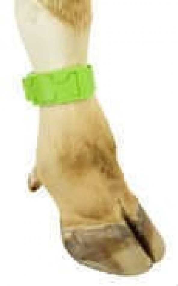 Tokalı Ayak İşaretleme Bandı, Yeşil
