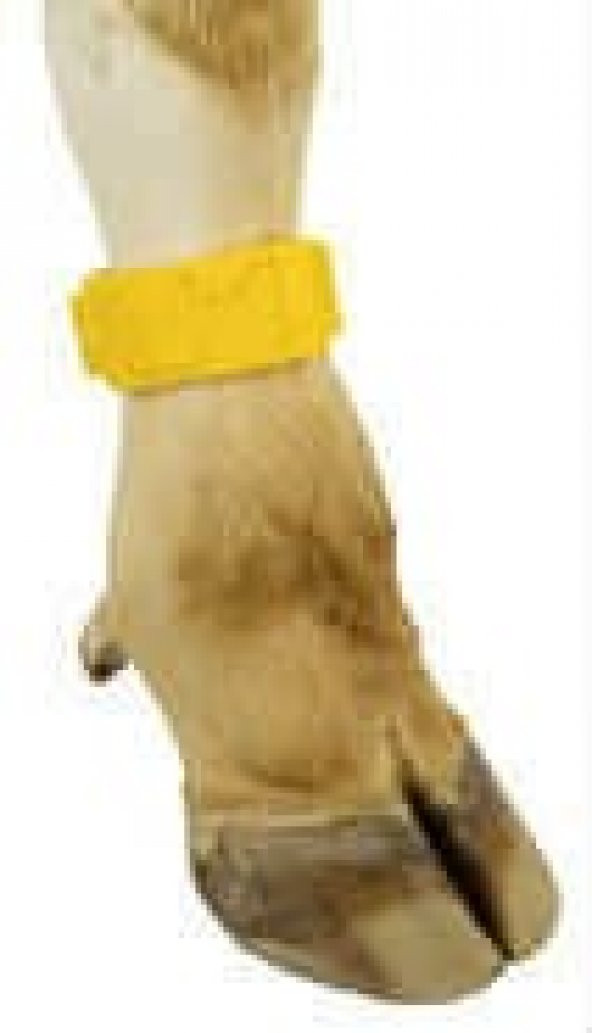 Tokalı Ayak İşaretleme Bandı, Sarı