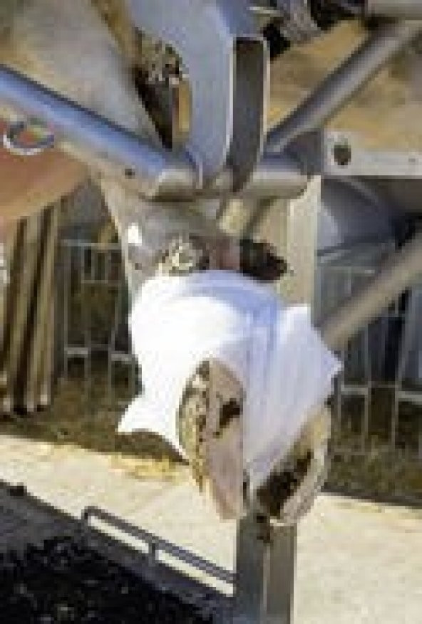 Rollino Rollwatte Ayak Bandajı (8li paket) - Resim 2