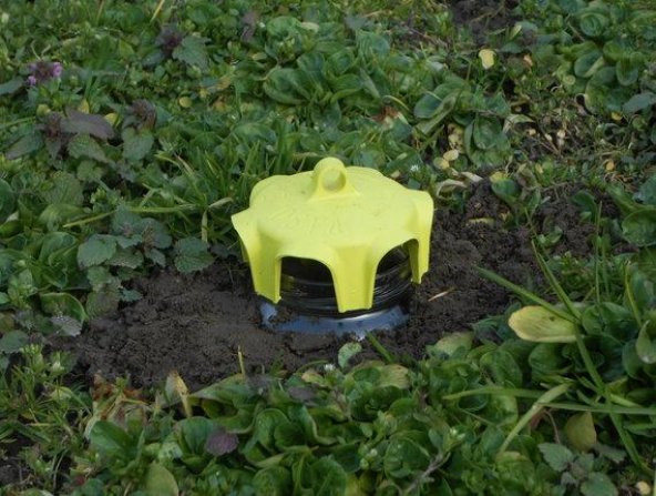 Kavanoz için Sinek Tuzağı (2ad/pkt) - Resim 4