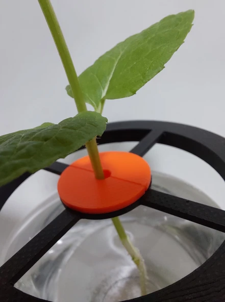 Byr Bir bardakta bitki yayılması için özelleştirilebilir kök tutucu (Sadece Plastik Aparattır!!!) 3D - 4