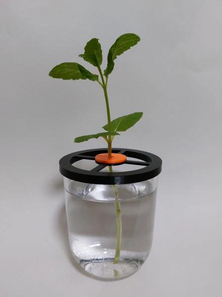 Byr Bir bardakta bitki yayılması için özelleştirilebilir kök tutucu (Sadece Plastik Aparattır!!!) 3D - 3