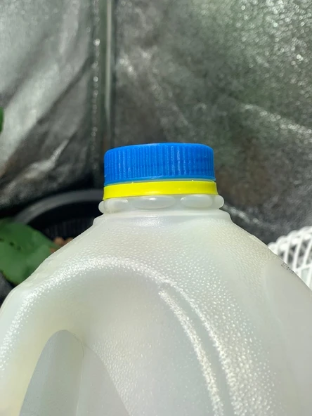 Byr Bir galon süt sürahi kapağı - yivli ve pürüzsüz versiyon (Sadece Plastik Aparattır!!!) 3D