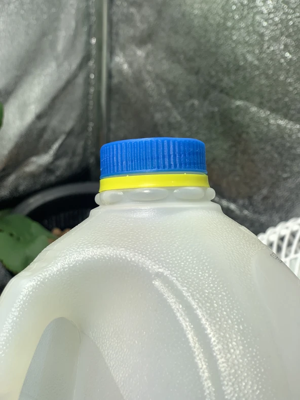 Byr Bir galon süt sürahi kapağı - yivli ve pürüzsüz versiyon (Sadece Plastik Aparattır!!!) 3D - 2