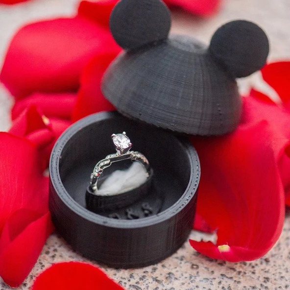 Byr Disney temalı yüzük kutusu (Sadece Plastik Aparattır!!!) 3D ürün görseli