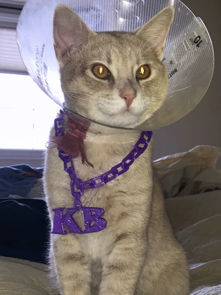 Byr KB Kedi Zinciri Kolye (Sadece Plastik Aparattır!!!) 3D - Resim 3