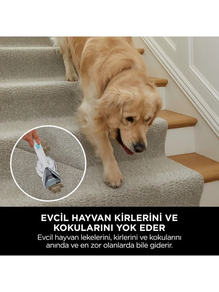 Shark Stainstriker PX200EUT Koltuk ve Halı Yıkama Makinesi - 6