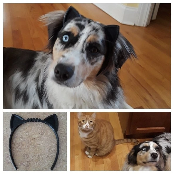 Byr Giyilebilir Kedi Kulakları Saç Bandı - Sert ve esnek seçenekler (Sadece Plastik Aparattır!!!) 3D - 4