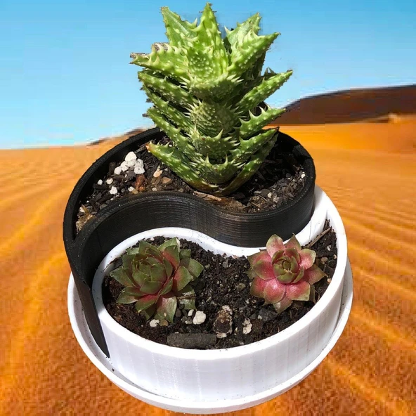 Byr Özelleştirilebilir yin-yang ekici / konteyner (Sadece Plastik Aparattır!!!) 3D