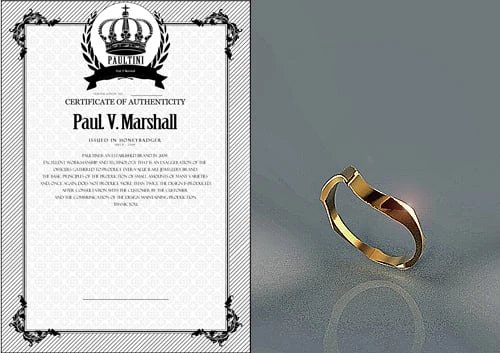 Byr Dalga Yüzüğü ve Bilezik (Seri (Sadece Plastik Aparattır!!!) 3D - Resim 2