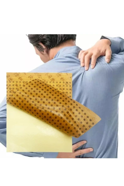 GOLD INSAM Kırmızı Ginseng Ve Glukozamin Içeren Ağrı Kesici Bant 25 Adet(INTENSIVE MASK SHEET) - 3