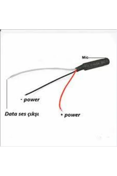 Güvenlik Kamera Mikrofonu - 2