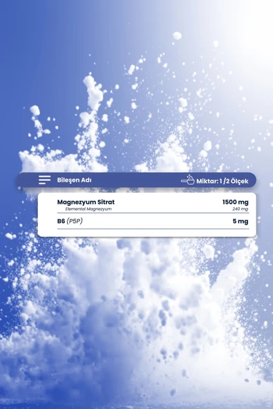 Raw Material Premix Magnezyum Sitrat P5p 100 gr - Resim 2