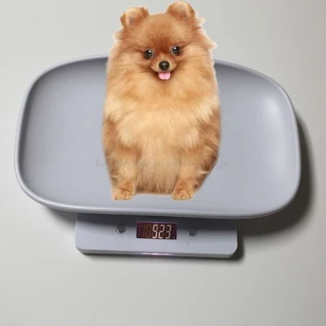 Pet Köpek Kedi Hayvan Ölçeği Dijital Bebek Bebek Ağırlık Ölçeği (Kg / Oz / Lb) | Tartım Ölçekleri - 3