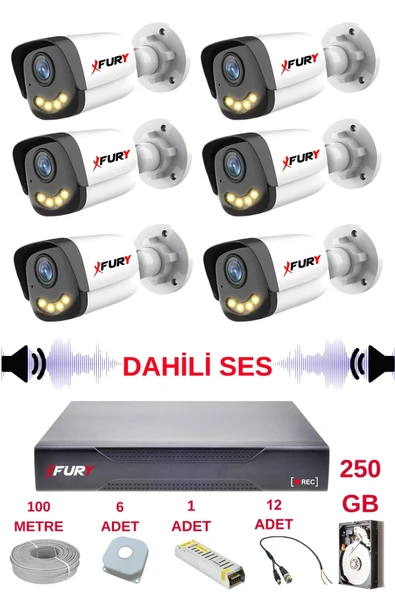 FURY 6 lı Sesli Gece Renkli Görüş Güvenlik Kamerası Su Geçirmez Güvenlik Kamerası Seti 5590s 250GB