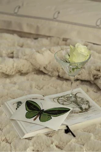 Çift Kişilik Yatak Örtülü Tam Set Silverfox Ekru - Resim 4