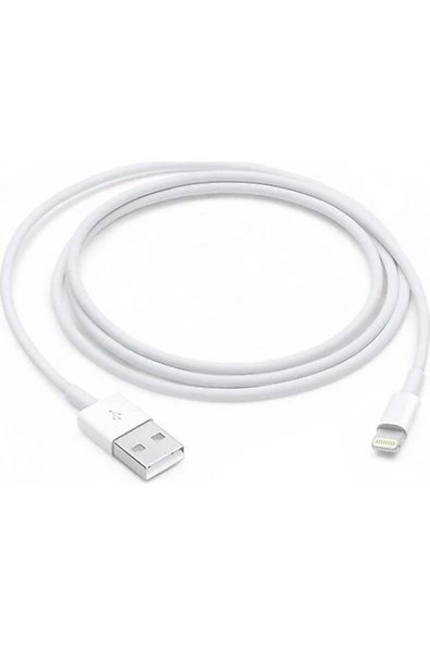 İphone 5 6 7 8 Plus X XS XR XS  Usb şarj Data Kablosu 1m (JOKERGSM) - 2
