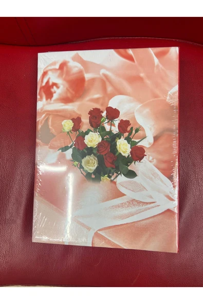 15x21 200 Fotoğraflık Resim Fotoğraf Albümü Lüks Albüm - Resim 2