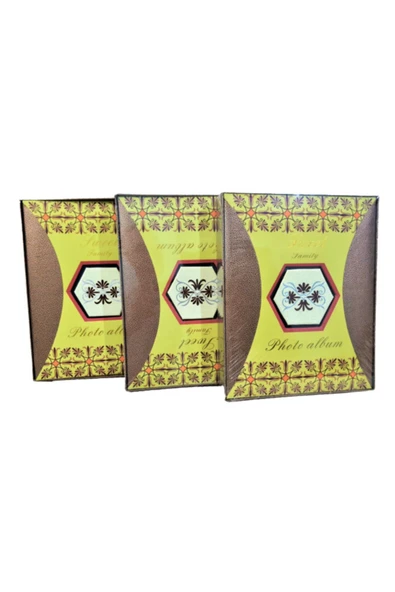 Fotoğraf Resim Albümü 15x21 Ve 10x15 Cm 120'lik Kutulu Memory'li - Resim 4