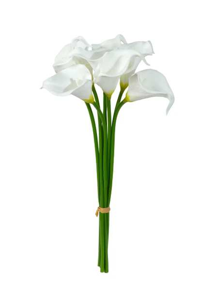 Yapay Çiçek Islak Gerçek Gala Çiçeği 8 Dal Net Beyaz 34 Cm - 7