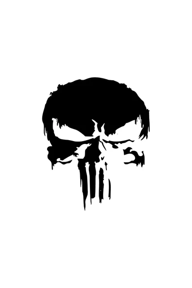 İndispensableyl Alevli Punisher Oto özel yeni sticker Siyah 25 x 30 cm