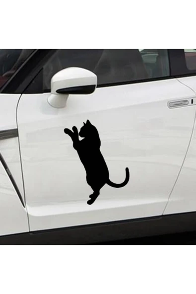 İndispensableyl Komik Kedi Tasarım Çıkarılabilir Su Geçirmez Oto özel yeni sticker 2 Parça 14*18 Cm ürün görseli