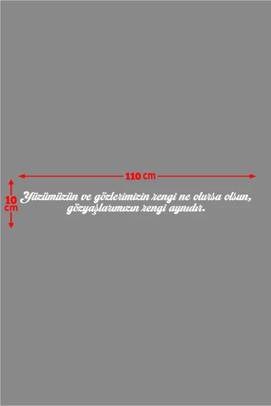 İndispensableyl Oto Cam Yazı Sözleri Ticari-Servis-Dolmuş-Panelvan Uzun özel yeni sticker Model 21 - 3