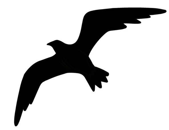 İndispensableyl Martı Duvar Dekor Sticker 40 X 32 Cm ürün görseli