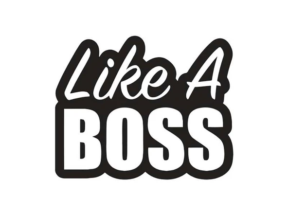 İndispensableyl Like A Boss Duvar Dekor Sticker 40 X 32 Cm ürün görseli