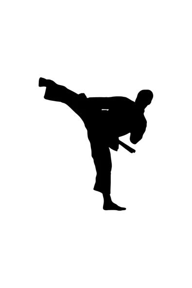 İndispensableyl Karate Sticker 10 X 11 Cm ürün görseli