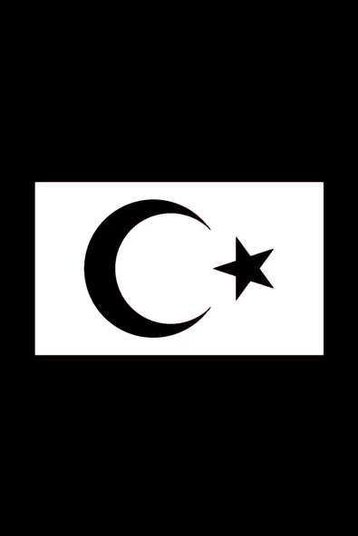 İndispensableyl Türk Bayrağı Sticker 30 X 18 Cm - Resim 3