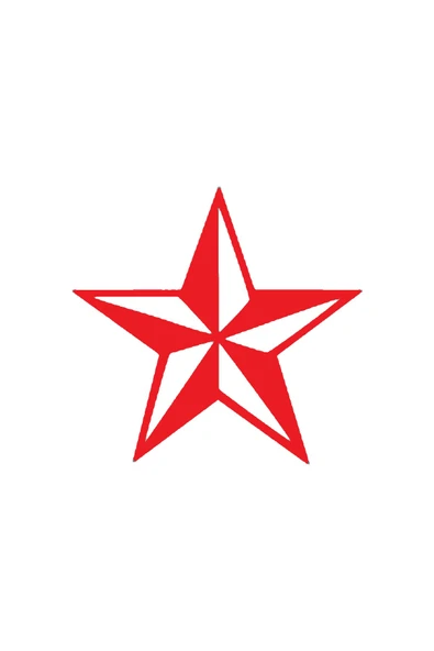 İndispensableyl Deniz Yıldızı Tasarım Sticker 20 X 20 Cm - Resim 2