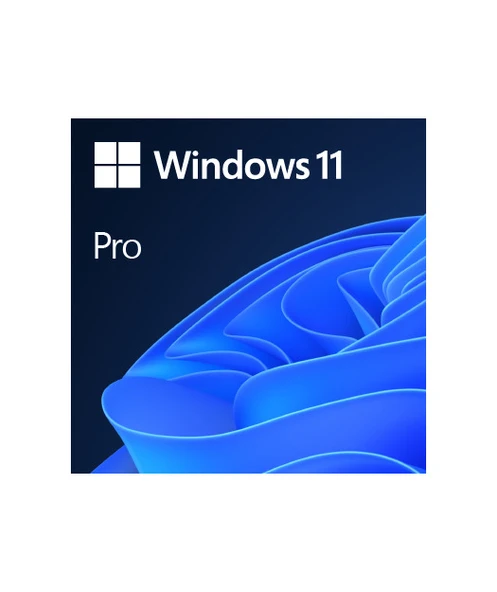 MS WINDOWS 11 PRO 64 BIT TURKCE OEM FQC-10556