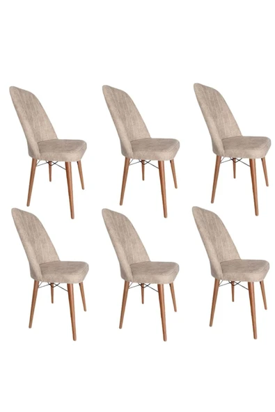 florit mobilya masamıza buyurun Sandalye Takımı. 6 Kişilik Kare Gold Ceviz Gürgen Ahşap Ayaklı Krem Mutfak Sandalyesi ürün görseli