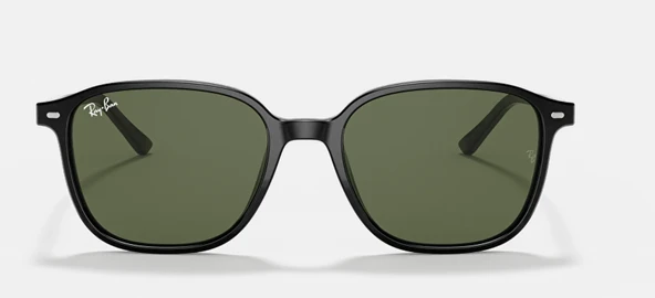 Ray-Ban RB2193 Leonard ürün görseli 1