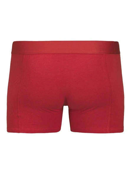 Jack Jones Cnyjah Banboo 3 Lü Paket Erkek Boxer 12281998 - Resim 2