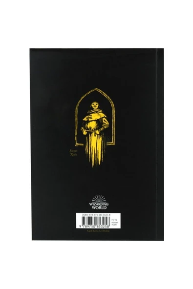 Harry Potter Ve Felsefe Taşı 20. Yıl Hufflepuff Özel Baskısı - 3