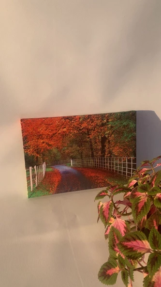 Sonbahar Manzaralı Natürel Tasarım Ahşap Çerçeve Ev İşyeri Ofis Duvar Dekorasyon Kanvas Tablo MNZ3 - Resim 7