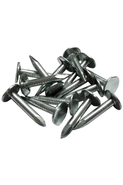 ŞINGIL ÇİVİSİ 25 MM