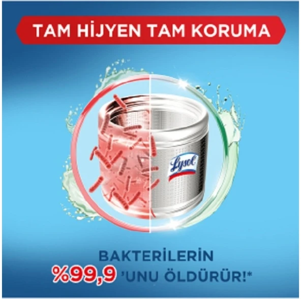 LYSOL ANTİBAKTERİYEL ÇAMAŞIR MAKİNESİ TEMİZLEYİCİ ÇAM VE OKALİPTUS FERAHLIĞI 250 ML - 3