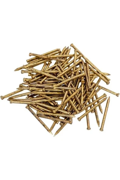 ÇELİKSAN BETON ÇİVİSİ SARI 2X30