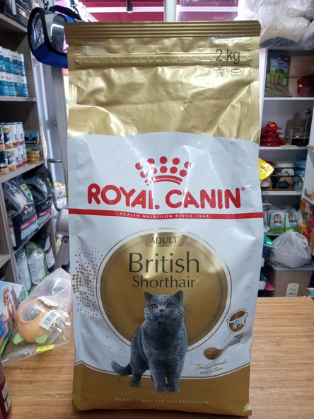 Royal Canin British Shorthair 2 kg Yetişkin Kedi Maması