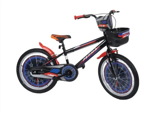 Belderia Vision Laser 20" Jant Vitessiz V-fren Çocuk Bisikleti