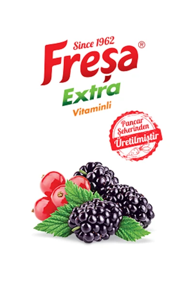 Freşa Extra Karadut Frenk Üzümü Mineralli Gazlı İçecek 200 ml x 6 Adet - 4