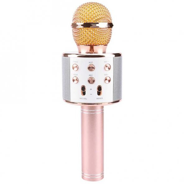 Zore WS-858 Karaoke Mikrofon